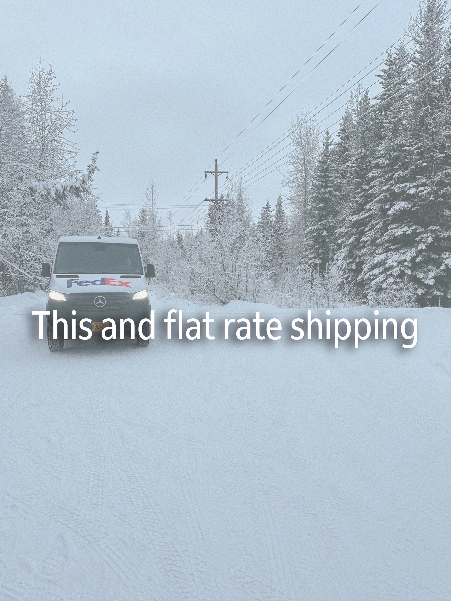 FedEx van traveling through a snowy Alaska landscape